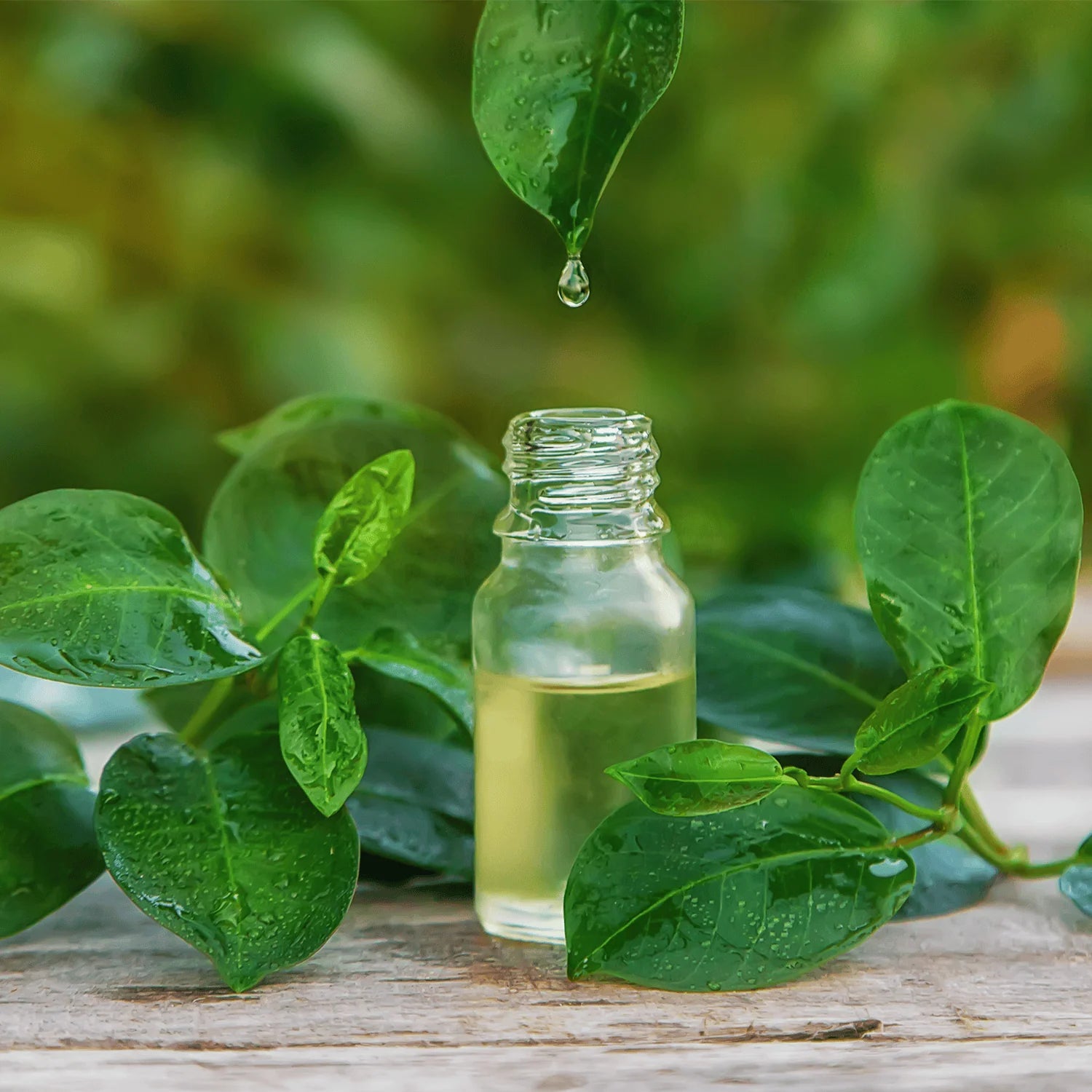VitalKICK mindSET – Ätherische Öle für Fokus & Energie