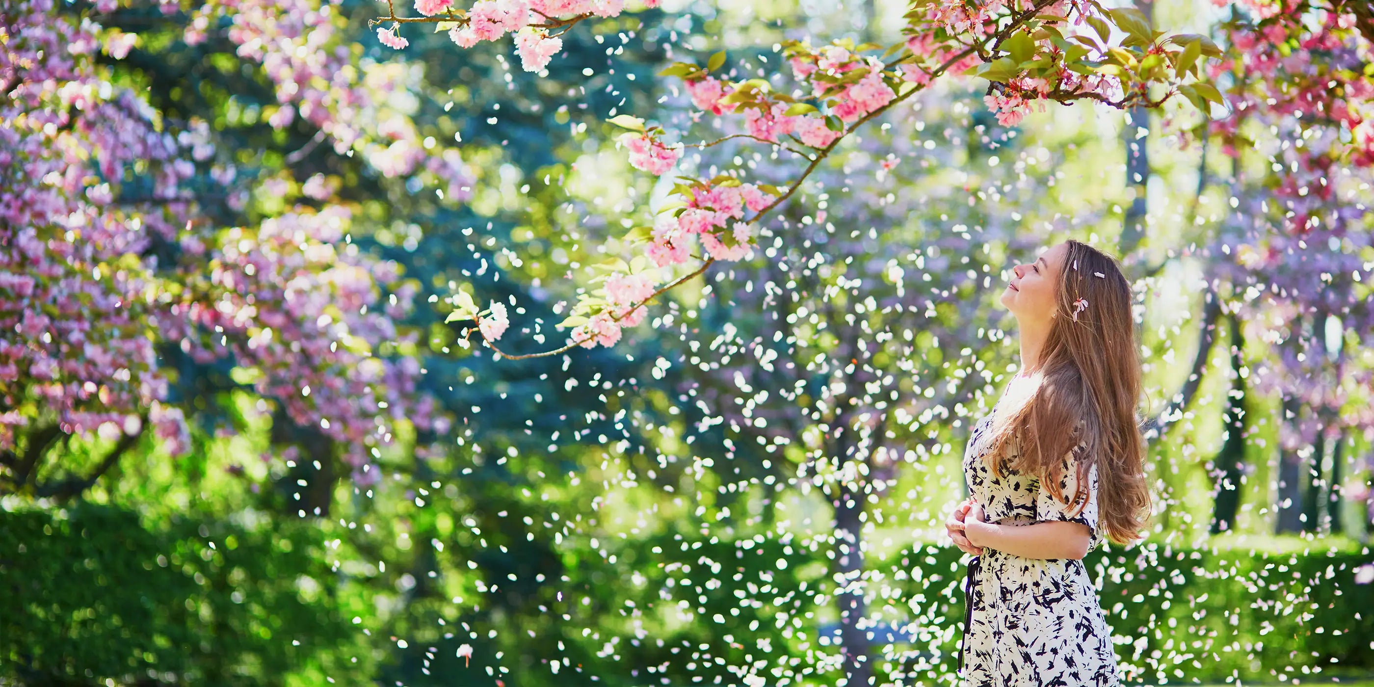 mindSET Euphoria – Belebende Düfte für pure Lebensfreude & positive Energie