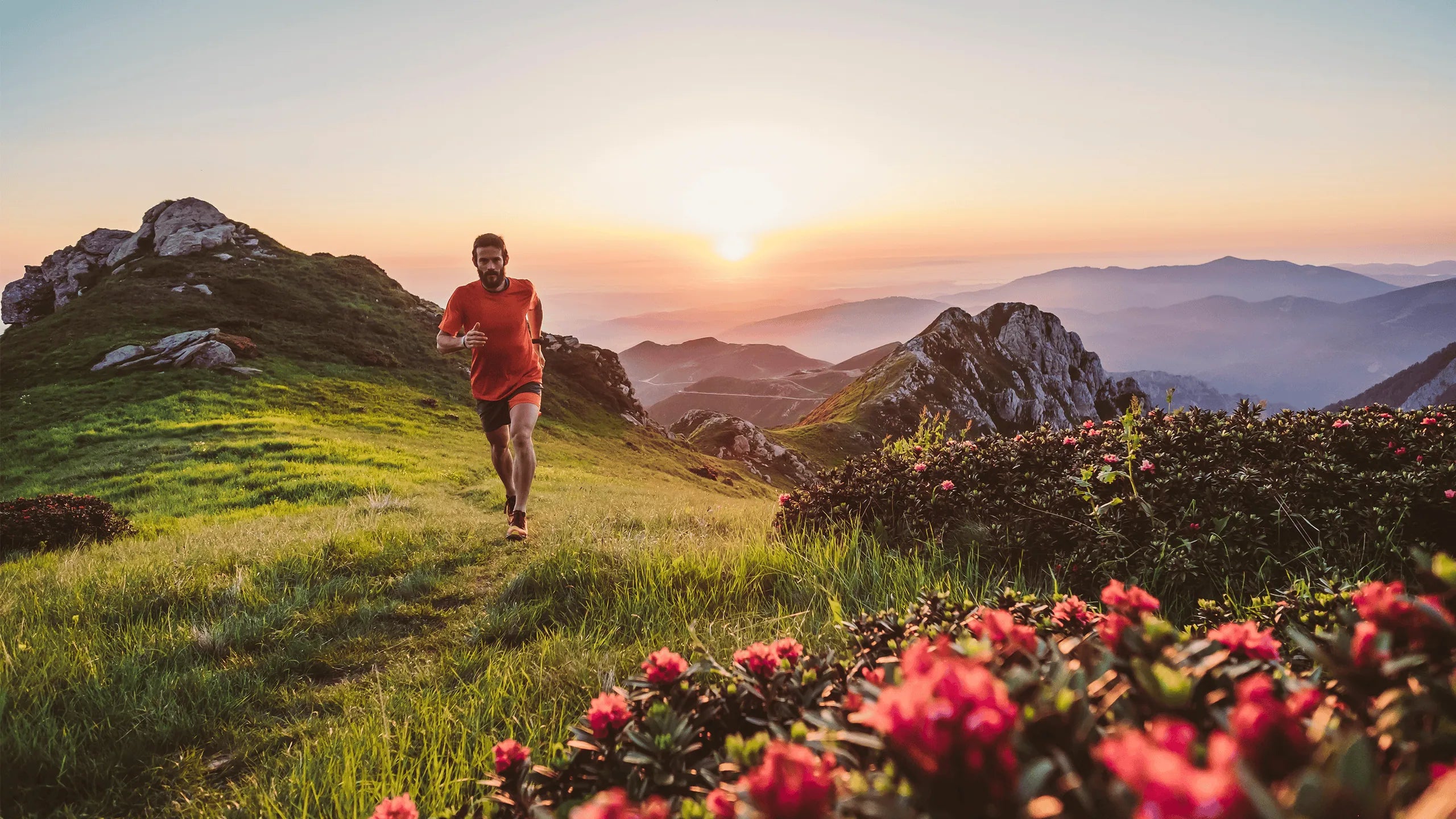 VitalKick – Natürliche Energie & Fokus durch die Kraft ätherischer Öle