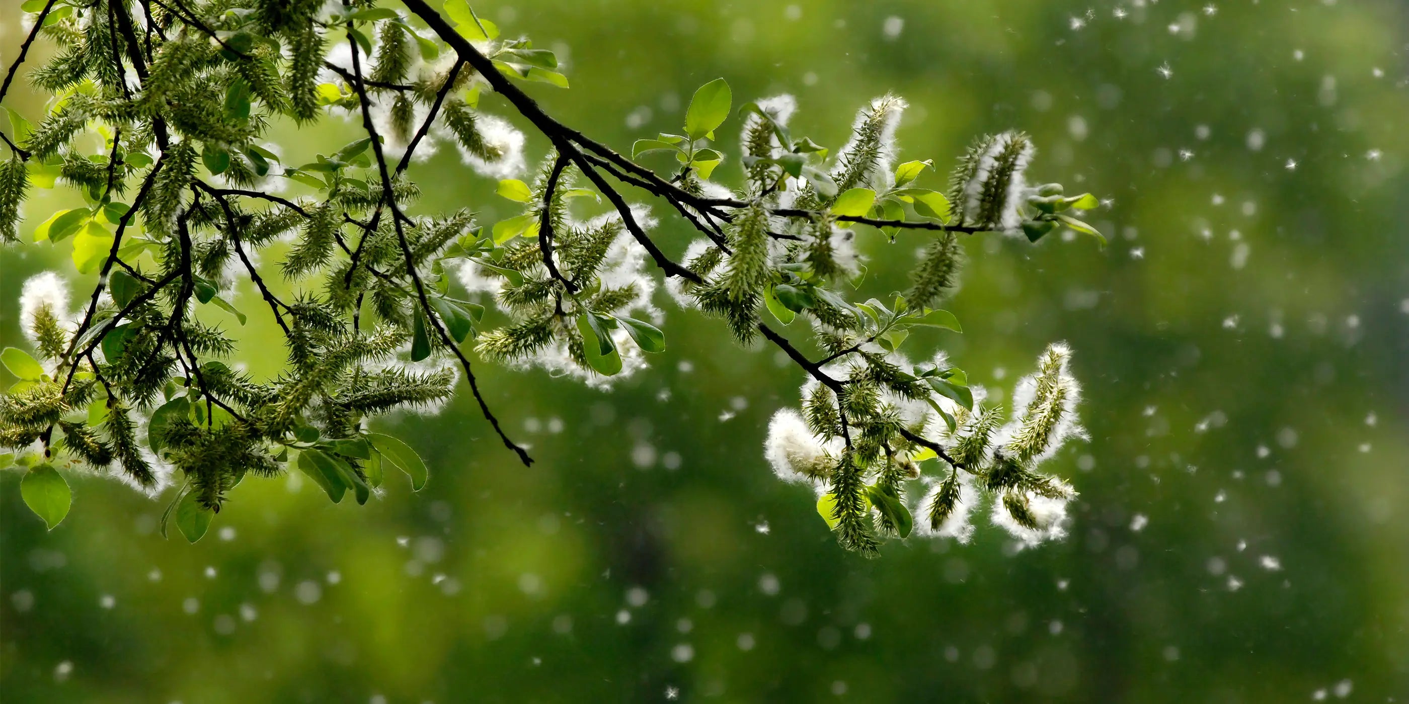 Die Geschichte von VitalKick – Wie alles begann