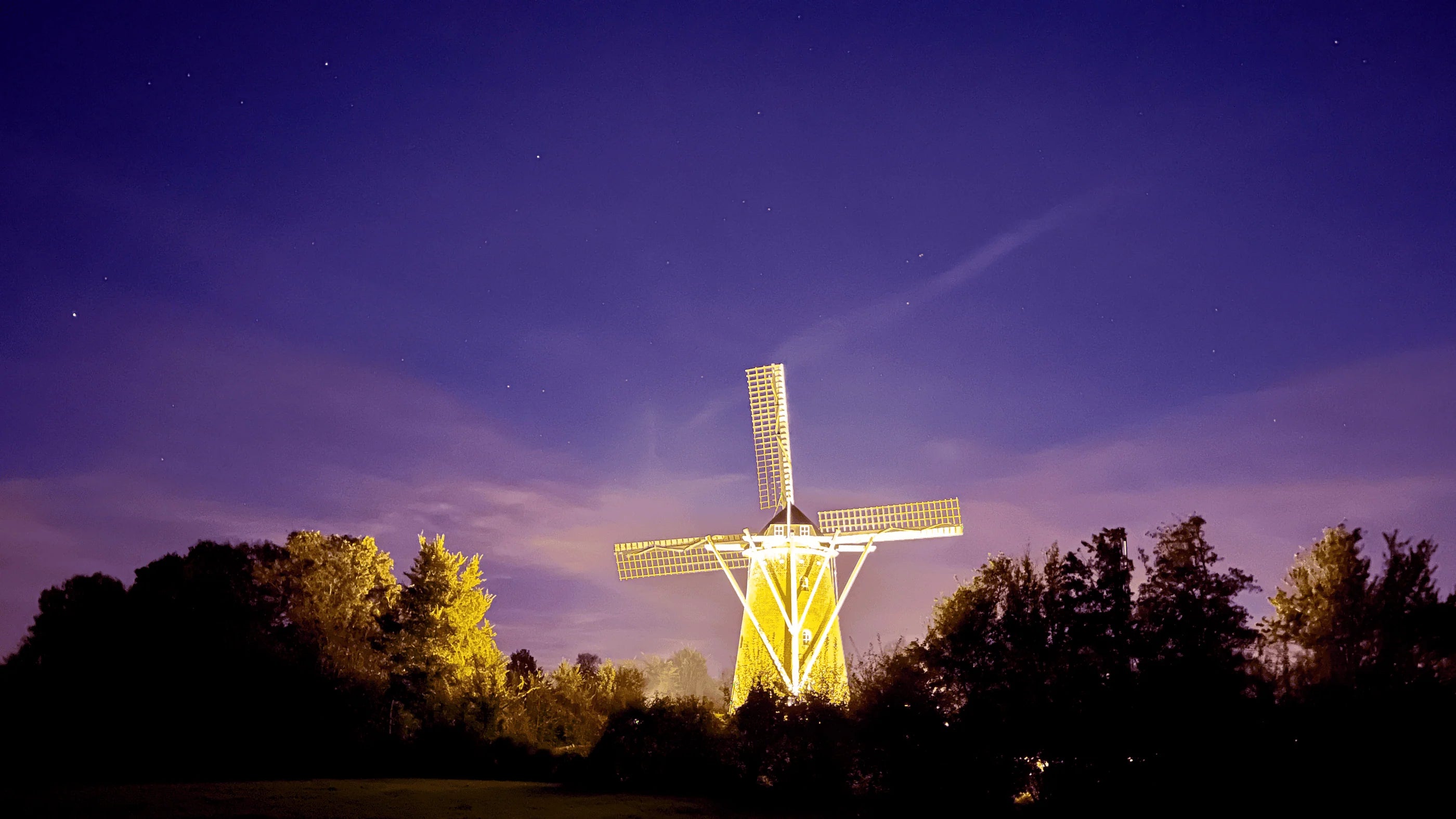 Unsere Werte – Nachhaltigkeit, Qualität & Verantwortung bei VitalKick