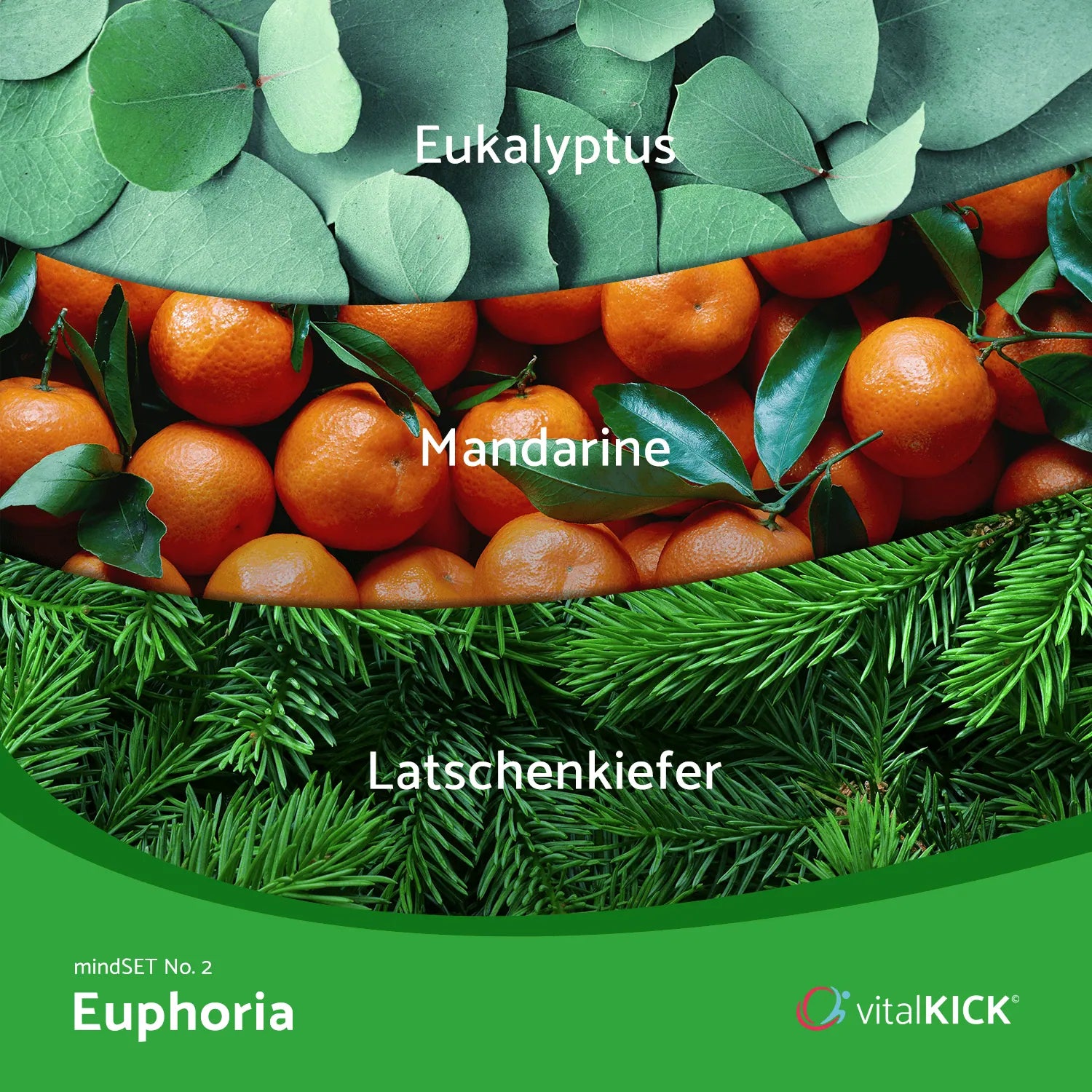 mindSET Euphoria – Belebende Düfte für pure Lebensfreude & positive Energie