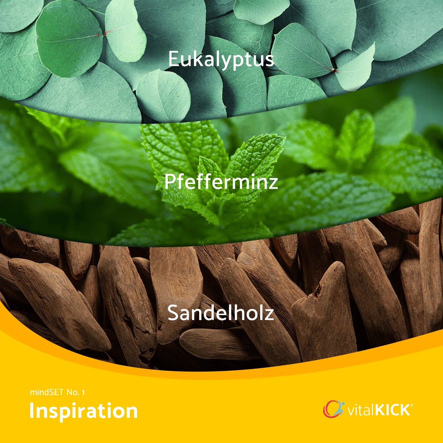 Inspiration durch Atmung – Ätherische Öle für frische Energie, kreative Impulse und innere Ruhe