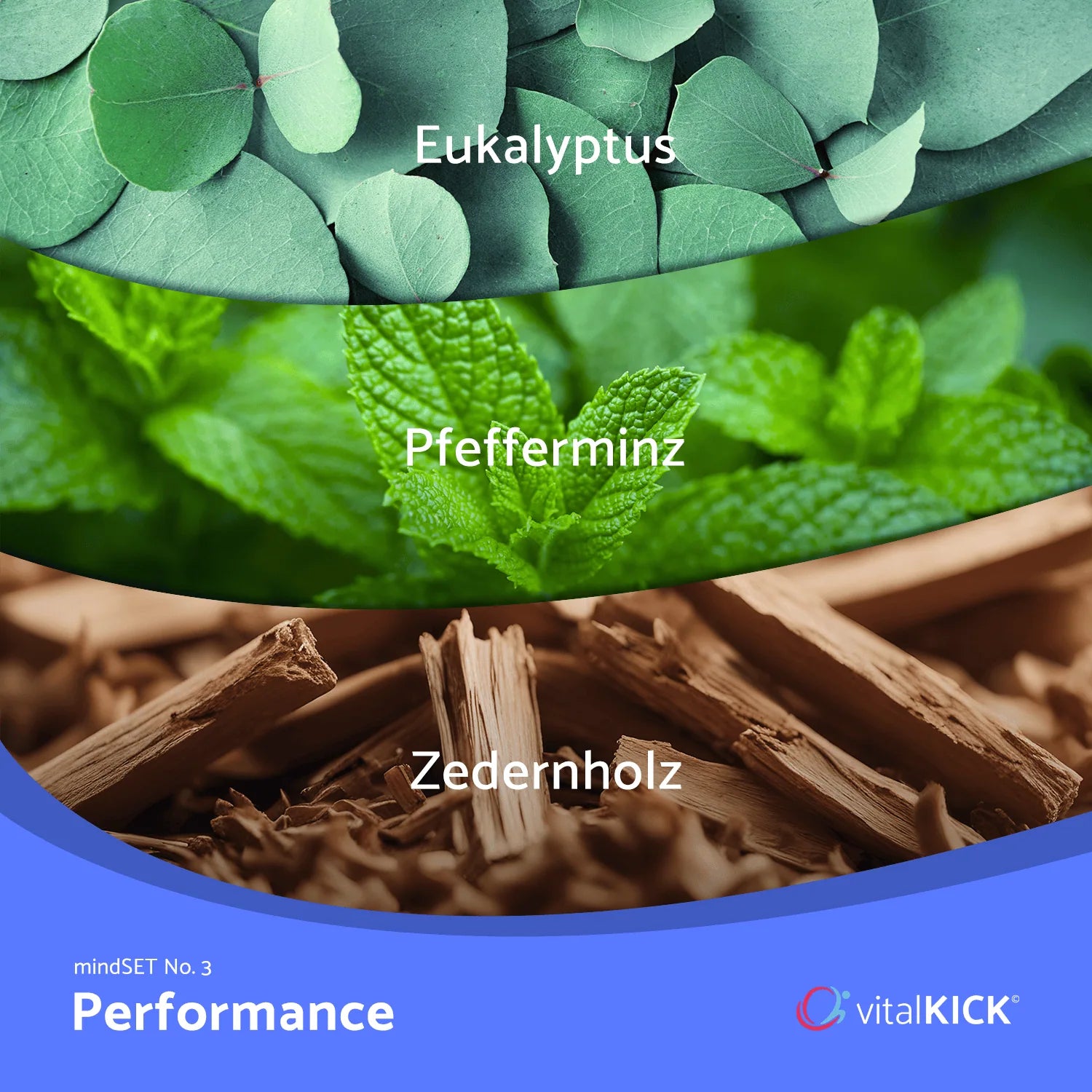Fokus & Power – mindSET Performance unterstützt dich in entscheidenden Momenten